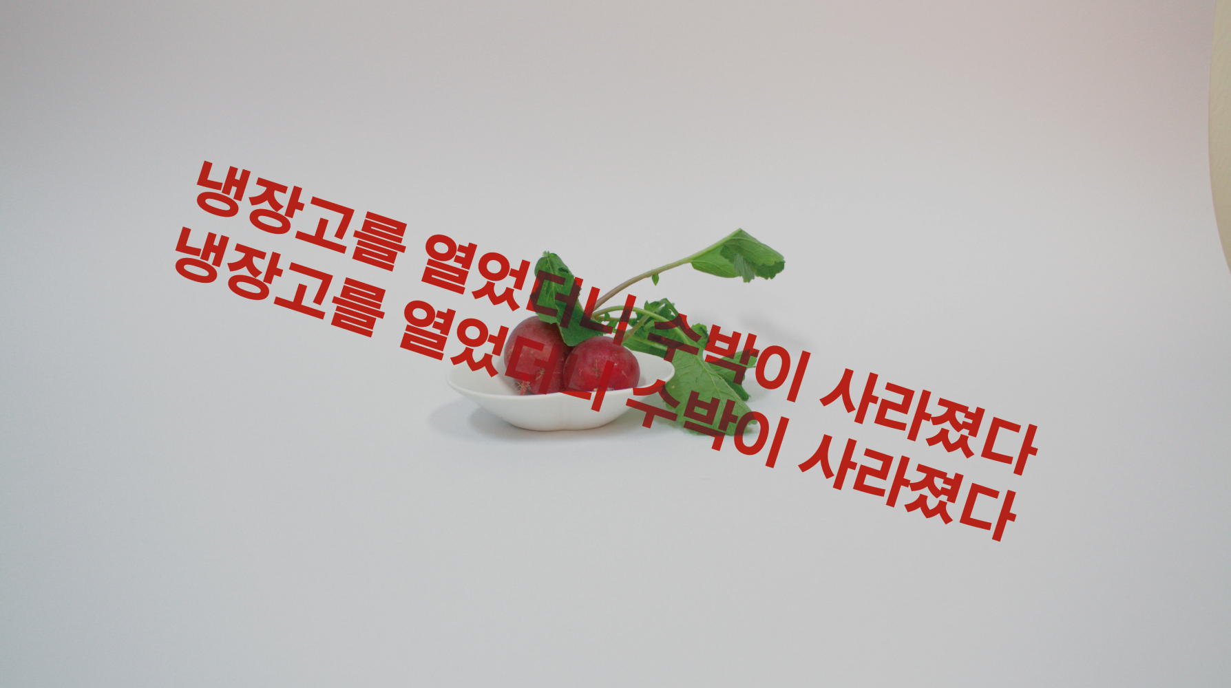 냉장고를 열었더니 수박이 사라졌다